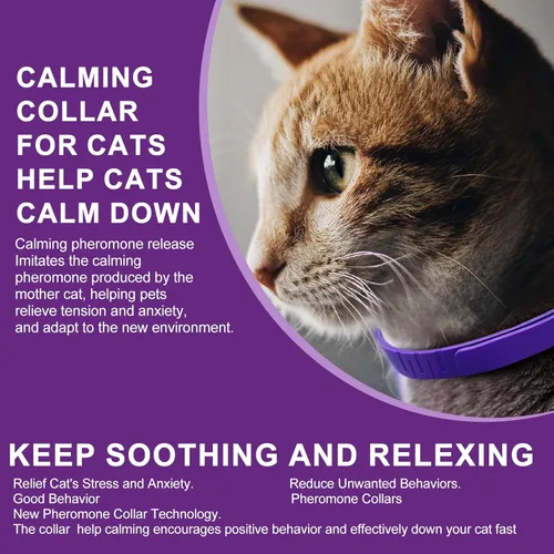 Miniatura 2 de 4 collares calmantes para gatos con feromonas y lavanda, diseño impermeable ajustable, alivio de ansiedad de 30 días, para el estrés y viajes