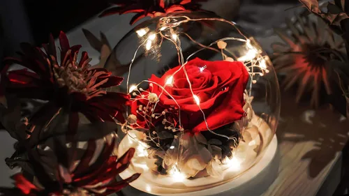 Miniatura 4 de Flor fresca hecha a mano, rosa eterna Rojo brillante