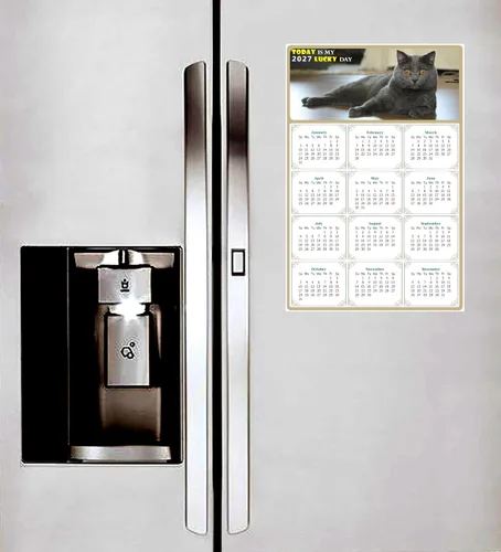 Miniatura 4 de Calendario magnético 2024 – Imanes del calendario – Today is my Lucky Day – Resistente a la decoloración, desgarros y agua – Temática de gato 014
