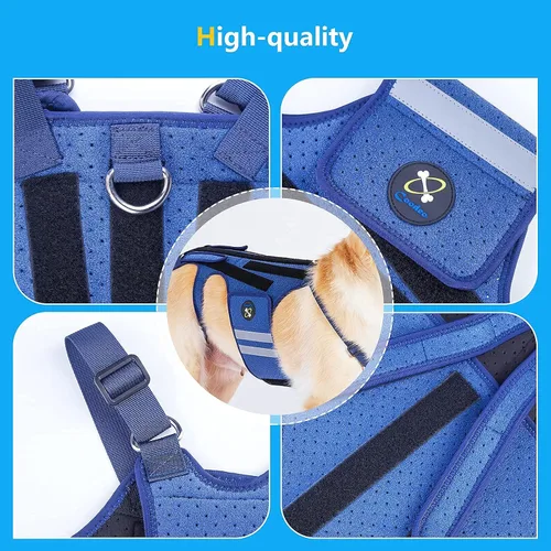 Miniatura 9 de Coodeo Soporte de espalda para perros para artritis, soporte de espalda para mascotas para IVDD, protector de espalda ayuda a aliviar el dolor, Azul