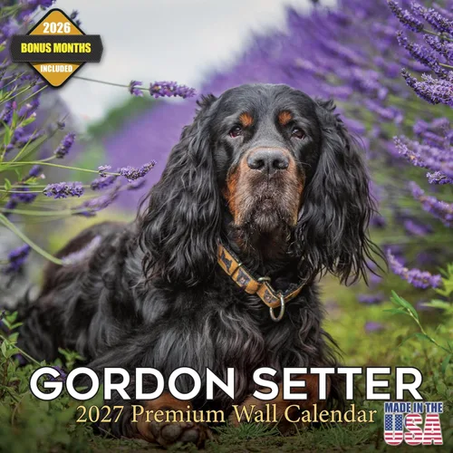 Miniatura 30 de Calendario 2025 2026 de cachorros Cocker Spaniel - Calendario mensual de pared de raza de perro - 12" x 24" abierto - Papel grueso sin sangrado