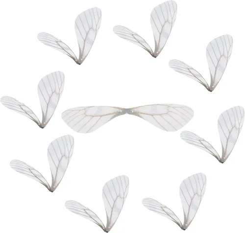 Miniatura 8 de SUNNYCLUE 1 caja 180 pares de decoraciones de mariposa de tela 3D adorno de mariposa pequeñas alas de mariposa de organza para bricolaje, joyas
