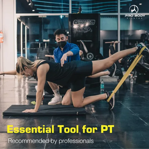 Miniatura 6 de ProBody Pilates Bandas de resistencia de bucle para entrenamiento, juego de 5 bandas de ejercicio de resistencia, bandas de entrenamiento