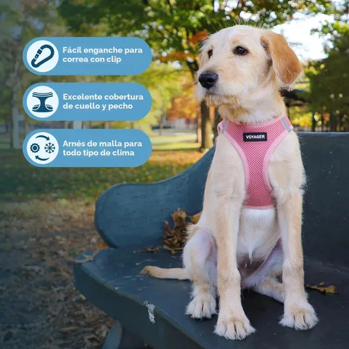 Miniatura 3 de Best Pet Supplies Voyager Step-in Air Arnés – Malla para todo clima, reflectante, arnés antitirones para perros y gatos, seguro con cierre de gancho