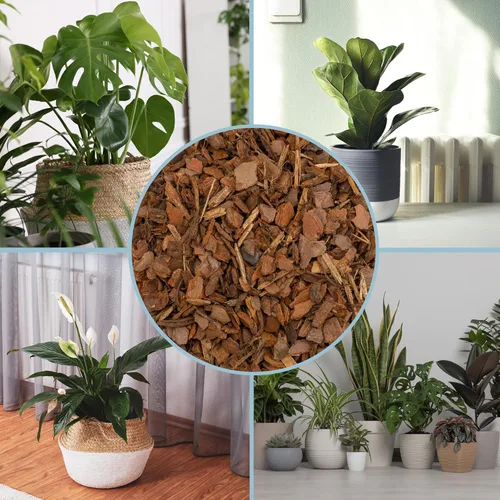 Miniatura 6 de Pepitas de mantillo de corteza de pino 100 % natural (8 cuartos de galón), pequeños chips de mantillo para jardinería en contenedores