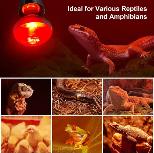 Miniatura 7 de MIXJOY Bombillas de calor infrarrojo de 100W, paquete de 2, focos de calor infrarrojo para reptiles, foco rojo de calor infrarrojo para reptiles