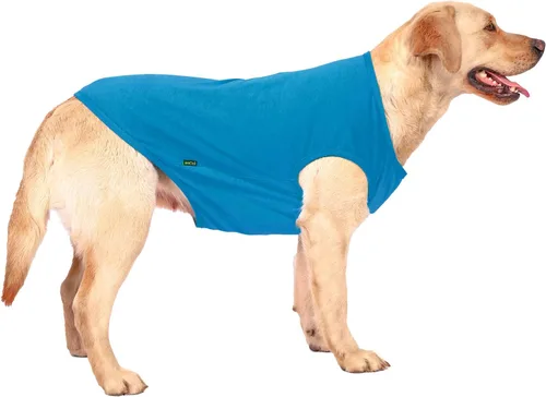 Miniatura 8 de Camisa azul en blanco para perros,Camisetas grandes para perros y niñas,Camiseta lisa de bulldog francés,L azul real Azul y Royal