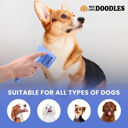 Miniatura 7 de Cepillo Slicker para perros, suministros de aseo para perros, el mejor cepillo para garabatos y caniches para perros de pelo - Goldendoodle Pin