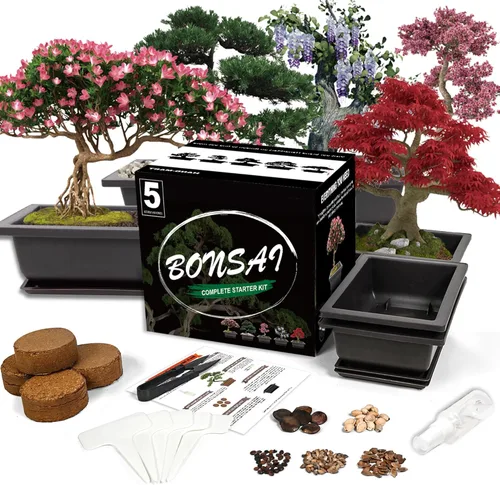 Kit de inicio de Bonsái Sproutix, 5 semillas que crecen en Acacia, Glicinia, Sakura, Arce Rojo y Pino Negro, Incluye herramientas de jardinería