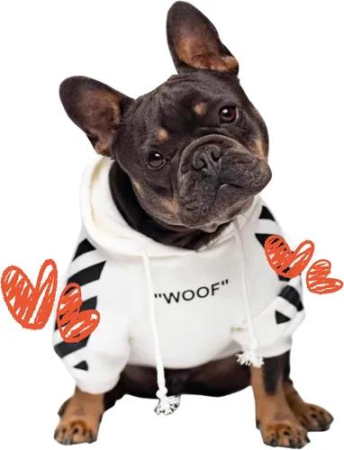 Miniatura 12 de ChoChoCho Sudadera con capucha y suéter para perros – Elegante ropa urbana de algodón para gatos y cachorros en gris – S, M, L