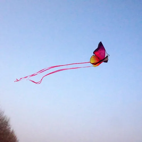 Miniatura 7 de Cometa de mariposa de 53 pulgadas con líneas voladoras fácil de volar para niños y adultos