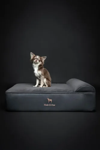 Miniatura 7 de NOAH & PAW Cama para perro, 28x23x7.5 pulgadas, camas ortopédicas para perros de tamaño mediano, espuma viscoelástica tipo cáscara de huevo Cuero