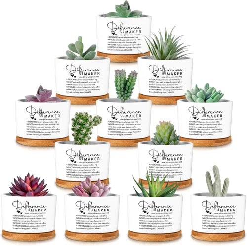 Miniatura 10 de 12 macetas inspiradoras para suculentas, regalo de agradecimiento a granel para mujeres, empleadas, profesores, compañeras de trabajo, Sometimes You
