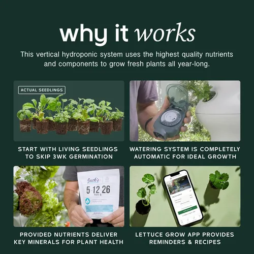 Miniatura 3 de Kit de inicio Lettuce Grow Farmstand con anillos luminosos y 12 créditos para plántulas Pequeño kit de sistema de cultivo hidropónico Torre