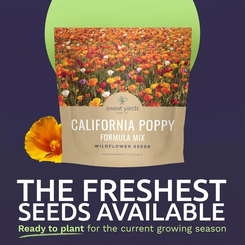 Miniatura 2 de California Poppy - Mezcla de fórmula - Paquete grande de semillas de 1/2 onza - 10,000 semillas de flores para plantar - Eschscholzia californica