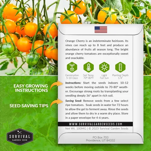Miniatura 2 de Semilla de tomate cereza naranja para plantar, 1 paquete con instrucciones para plantar y cultivar tomates cherry naranja afrutados en el huerto