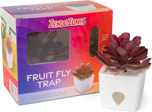 Miniatura 3 de ZendoZones - Trampa para moscas de frutas suculentas, diseño verde oscuro con base de terracota, control ecológico para moscas de la fruta