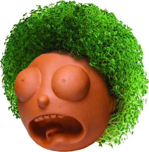Miniatura 3 de Chia Pet Rick & Morty - Morty con paquete de semillas, maceta decorativa de cerámica, fácil de hacer y divertido de cultivar, regalo novedoso