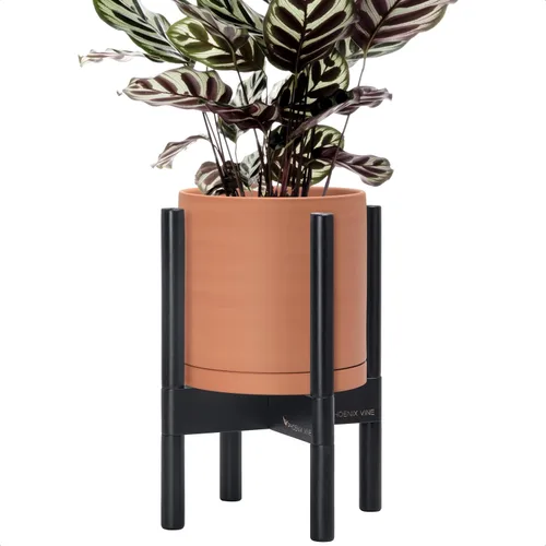 Miniatura 91 de D'vine Dev Maceta de cerámica con soporte de ébano – Maceta redonda moderna de 8 pulgadas con soporte para maceta de madera, color negro, 55-B-M-2