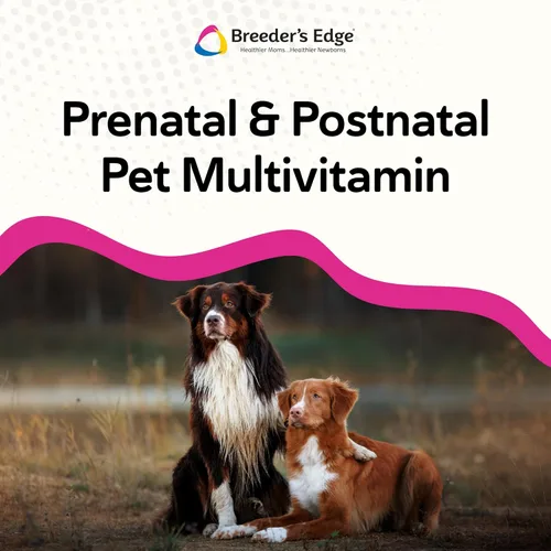 Miniatura 4 de Breeder's Edge Breed to Wean, Multivitamínico prenatal y posnatal para perros y gatos, apoya a las madres embarazadas y lactantes, suplemento
