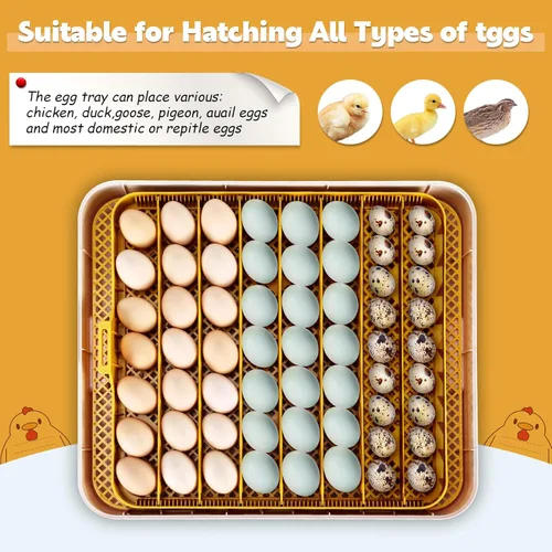 Miniatura 7 de Sailnovo Incubadora de 56 huevos para incubar huevos con giro automático de huevos y humidificación automática, vela de huevos, control de Blanco