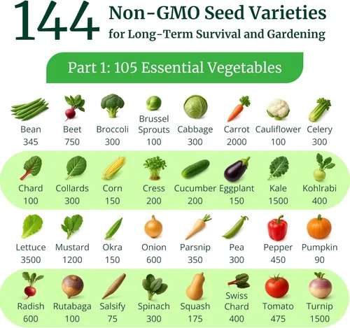 Miniatura 2 de Bóveda de semillas de supervivencia sin OMG – 23,000 semillas de vegetales, hierbas y frutas de polinización abierta para plantar – 144 variedades