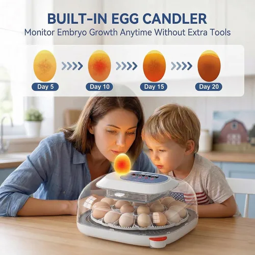 Miniatura 7 de Sailnovo 24 incubadoras de huevos para incubar huevos, control automático de temperatura y giro de huevos, vela de huevos, incubadora de visión