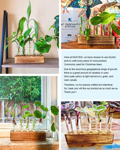 Miniatura 8 de KAXYEW - Estación de propagación de plantas, tubos de propagación de plantas, regalos para amantes de las plantas, soporte de tubo de ensayo, jarrón