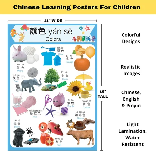 Miniatura 4 de N/A/ Juego de 10 carteles de aprendizaje chino para niños. Inspirado en Montessori. Bilingüe con chino simplificado, inglés y pinyin.