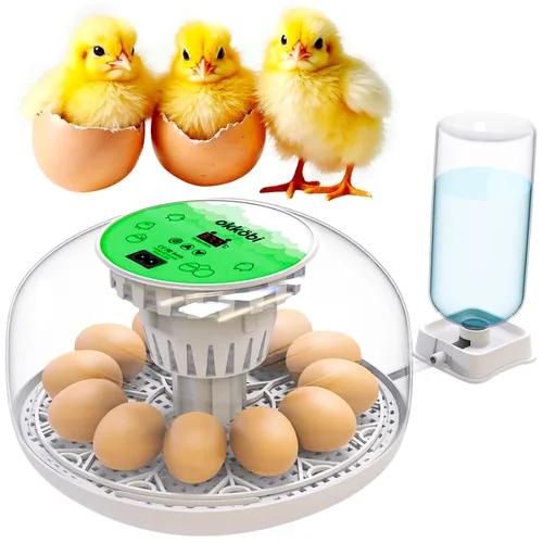 Miniatura 8 de Incubadoras M12 para incubar huevos - Incubadora de huevos con girador automático y control de humedad - 12/24 huevos - Incubadora de Huevos de Azul
