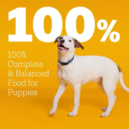 Miniatura 2 de Pedigree Puppy Growth & Protection - Alimento seco para perros con sabor a pollo y verduras - 3.5 libras Bolsa