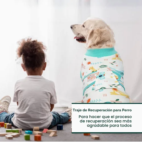 Miniatura 5 de Kuoser - Traje de recuperación posterior a la cirugía para perros y gatos, camisa profesional y vendaje de heridas abdominales, reemplaza collar