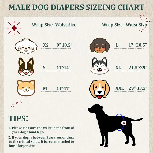 Miniatura 3 de Pañales Reutilizables para Perros Machos, Bandas Abdominales Lavables Premium para Perros Machos, Paquete de 5, Envolturas para Perros Machos Extra