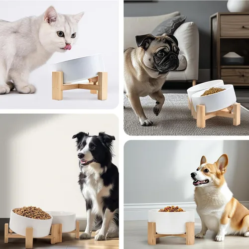 Miniatura 8 de SPUNKYJUNKY Cuenco de cerámica inclinado de 15° para perros y gatos con soporte de madera, cuenco inclinado para comida y agua para bulldog, Blanco