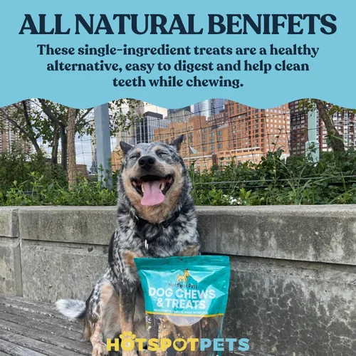 Miniatura 7 de hotspot pets Paquete de 10 masticables de cuero crudo certificados de 6 a 7 pulgadas para perros de vacas brasileñas alimentadas con pasto, promueve