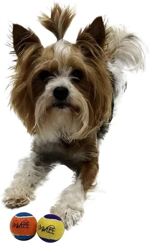 Miniatura 3 de Midlee Squeaky Mini pelota de tenis para perros de 1.5 pulgadas, paquete de 12 (amarillo/morado)