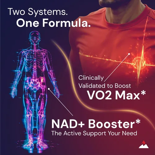 Miniatura 2 de Novex Biotech Oxydrene NAD+ Enhancer - Suplemento natural que promueve el metabolismo y el apoyo cardiovascular para hombres y mujeres (60 cápsulas)