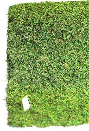 Miniatura 20 de Alfombra y tapetes de musgo preservado (12 pulgadas x 6 pies)