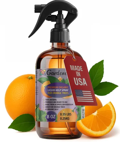 Miniatura 44 de GARDENERA Spray orgánico profesional de algas marinas para plantas AGLAONEMA – 8 oz – Rocío fertilizante de algas marinas y algas marinas totalmente