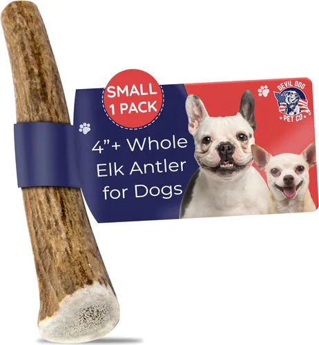 Miniatura 18 de Devil Dog Pet Co. Cornamentas de alce para perros, extra grandes 17,8 cm+, 1 paquete, grado A, masticable duradero para masticadores agresivos, asta