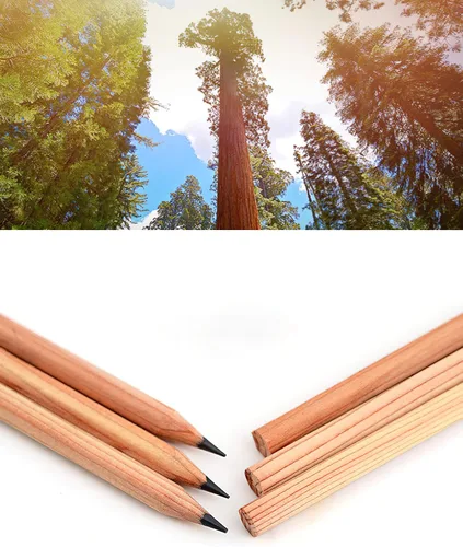 Miniatura 7 de Juego de lápices de dibujo para artistas, 12 piezas, lápices de dibujo 3H, 2H, H, HB, 2B, 3B, 4B, 5B, 6B, 7B, 8B, 9B, 9B