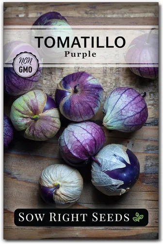 Sow Right Seeds - Semillas de tomatillo morado para plantar - Paquete de reliquia sin OMG con instrucciones para plantar un huerto en el hogar al