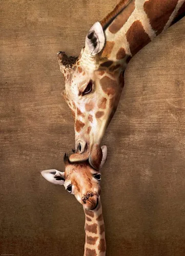 Miniatura 2 de Eurographics Rompecabezas de beso de madre de jirafa, 1000 piezas
