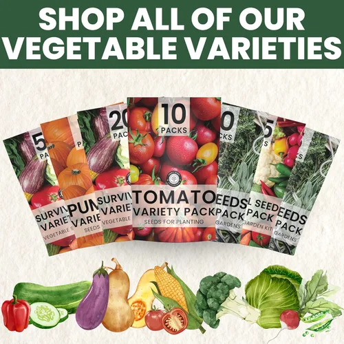Miniatura 7 de 20 paquetes de semillas de verduras Paquete variado de supervivencia Temporada 2026 Verduras, hierbas y frutas empaquetadas individualmente