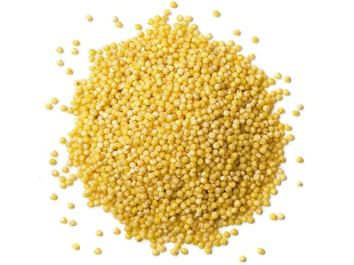 Miniatura 3 de Food to Live Mijo orgánico descascarillado, 3 libras, semillas de grano entero, sin OMG, Kosher, crudo, a granel, producto de los Estados Unidos