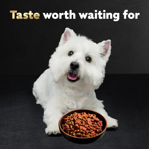 Miniatura 8 de Cesar Alimento seco para perros de raza pequeña para perros pequeños, sabor Porterhouse y guarnición de verduras de primavera, bolsa de 5 libras