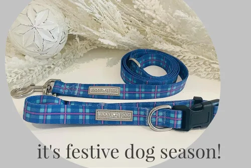 Miniatura 53 de Lucky Love Dog - Collar de perro ajustable con hebilla de fácil clic para los grandes, duradero y cómodo para perros machos y hembras, collar