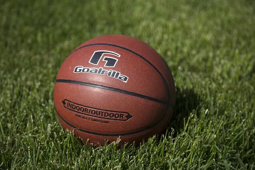 Miniatura 6 de Goalrilla Baloncesto para hombre de tamaño reglamentario para interior/exterior con cubierta compuesta y durabilidad increíble, talla 7
