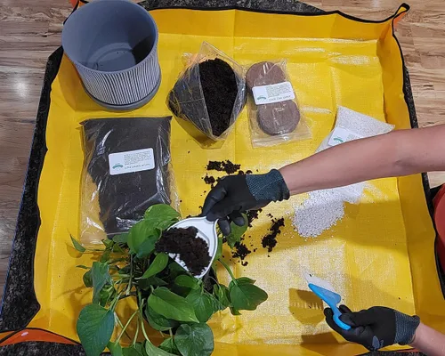 Miniatura 7 de UpBloom - Kit de terapia de plantas para macetas de interior, trasplante y cuidado general de plantas domésticas