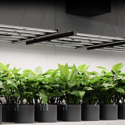 Miniatura 8 de AC Infinity IONFRAME EVO3, Samsung LM301H EVO Bar Luz LED de cultivo 2x4, 840 diodos, con controlador de horario, luces comerciales de espectro